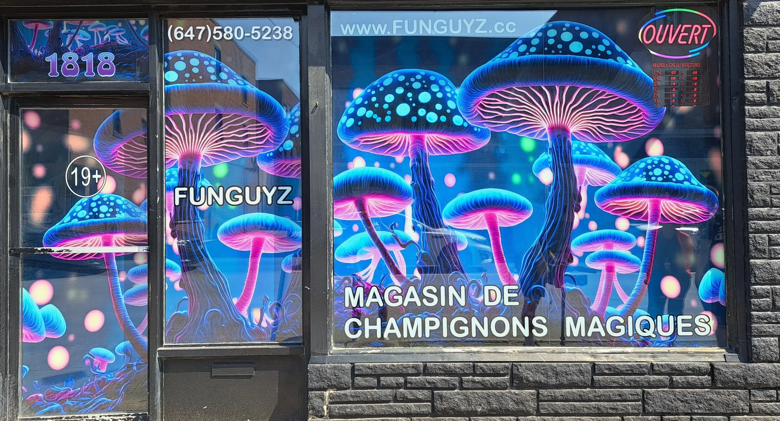Police Raid Montreal Mushroom Dispensary on Opening Day